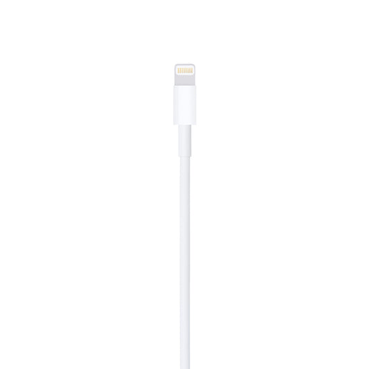 Cable de USB-A a Lightning 1 Metro Apple
