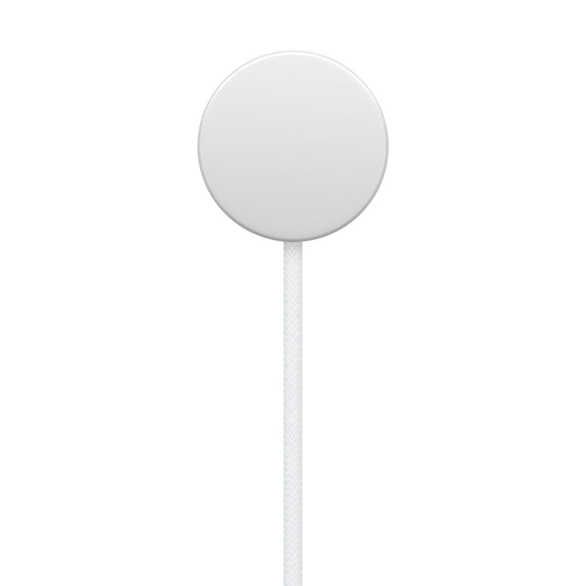 Cargador Apple Watch conector USB-C (1 m)