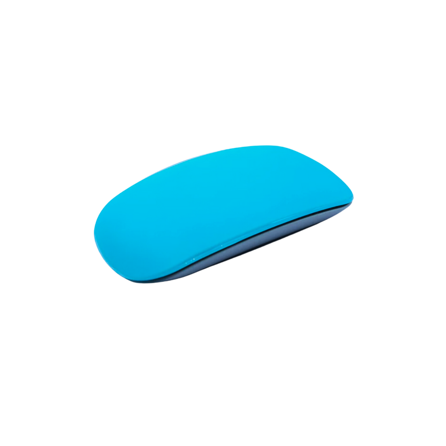 Protector Magic Mouse Calipso