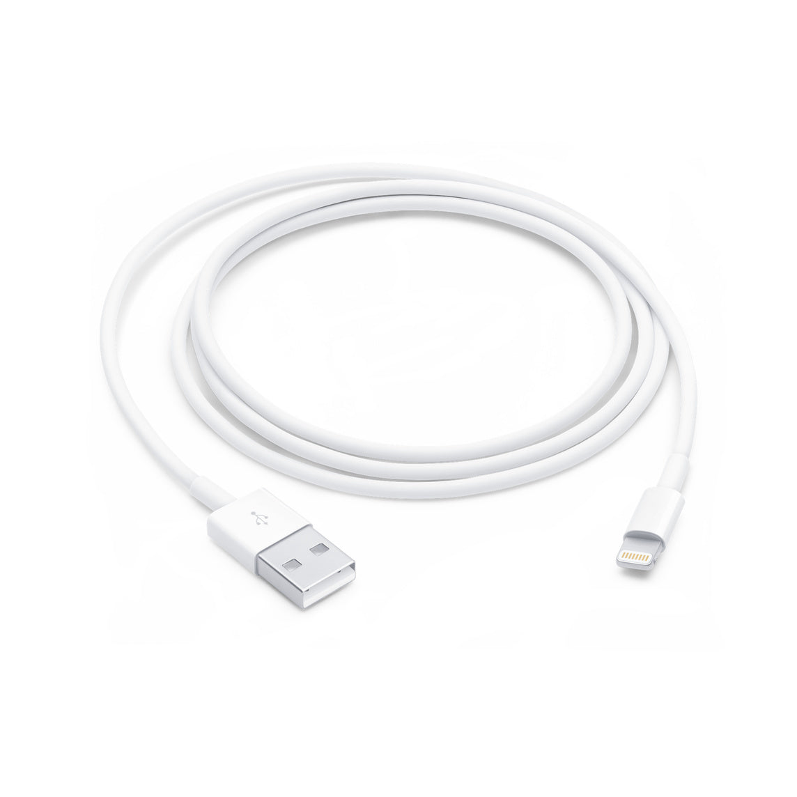 Cable de USB-A a Lightning 1 Metro Apple