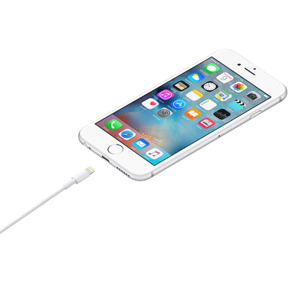 Cable de USB-A a Lightning 1 Metro Apple