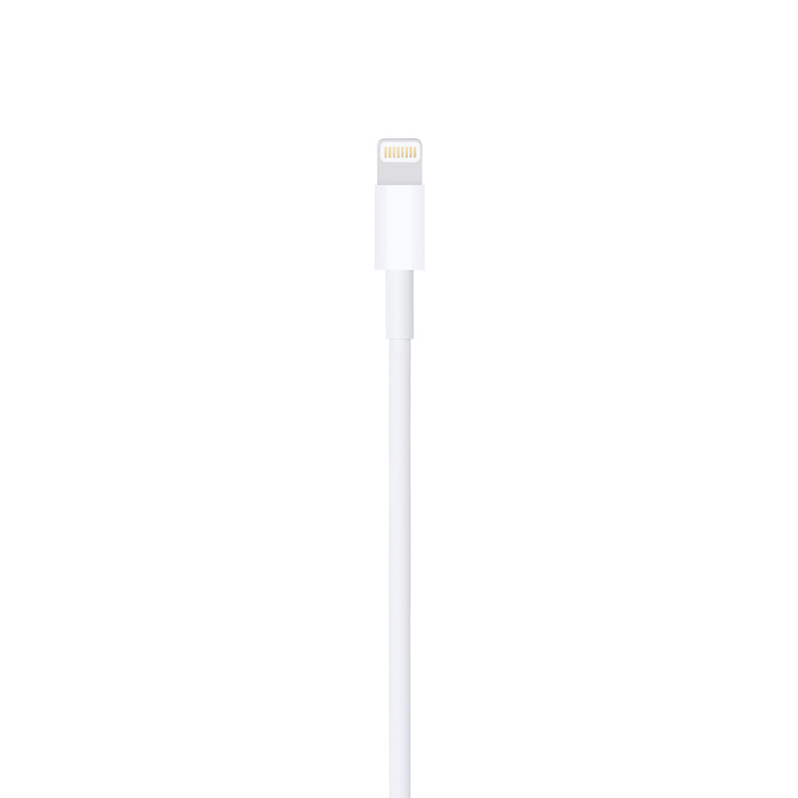 Cable de USB-A a Lightning 1 Metro Apple