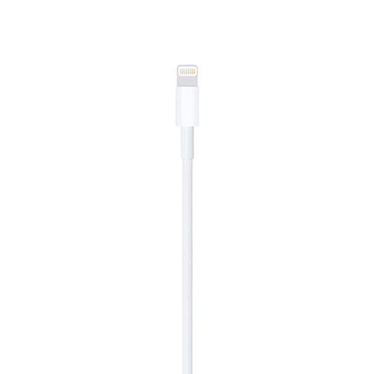 Cable de USB-A a Lightning 1 Metro Apple