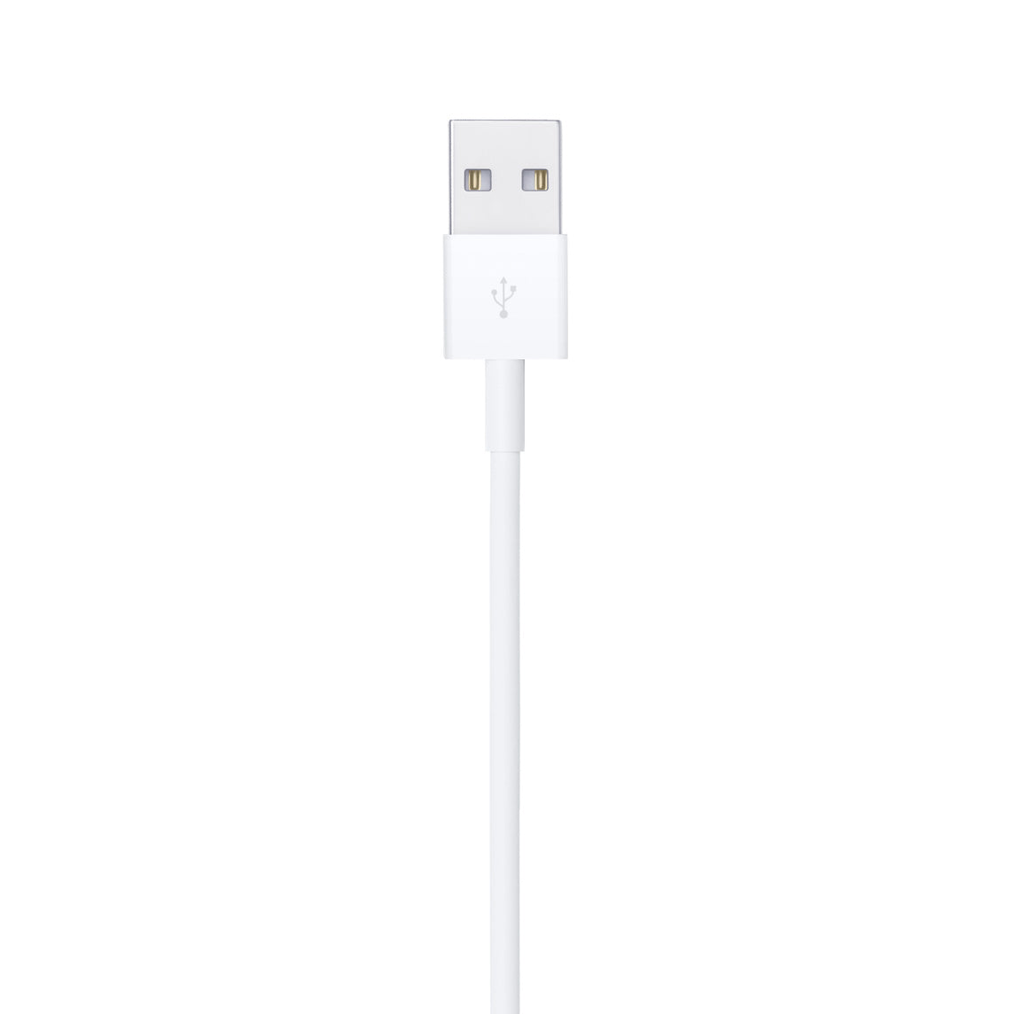 Cable de USB-A a Lightning 1 Metro Apple