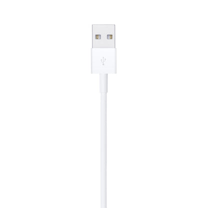 Cable de USB-A a Lightning 1 Metro Apple