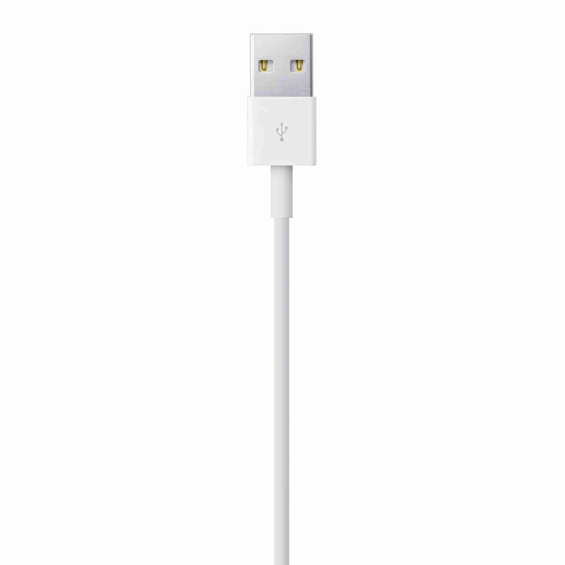 Cable Lightning X14 1 metro Hoco