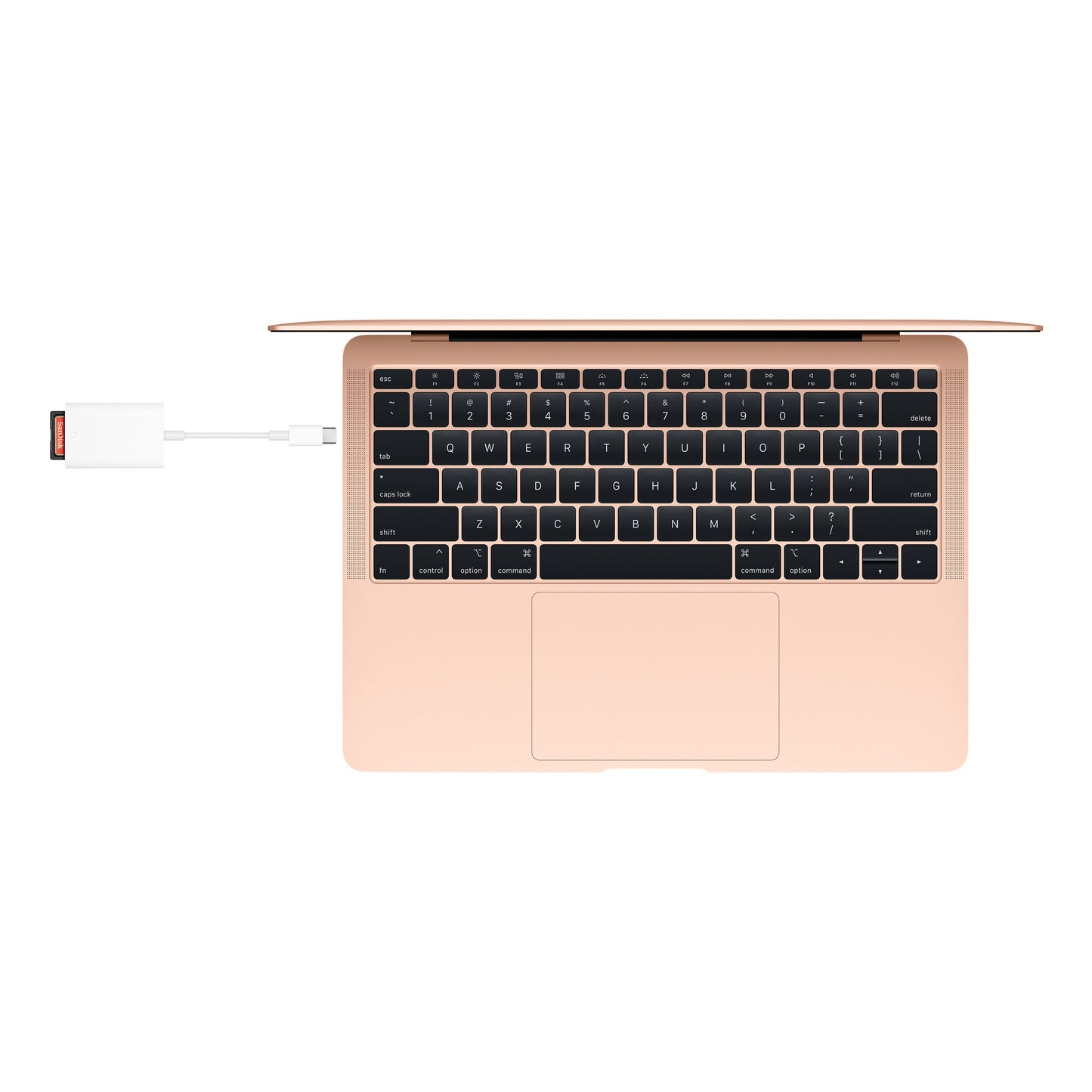 Lector de tarjeta SD con conector USB-C Apple (OPEN BOX)